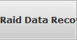 Raid Data Recovery Calvin raid array